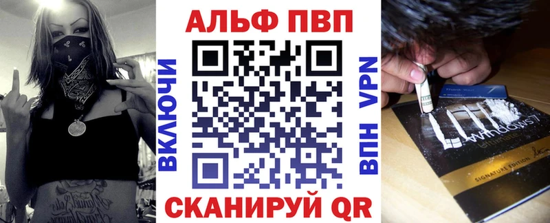 Альфа ПВП СК КРИС Дербент