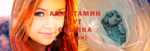 дживик Аша