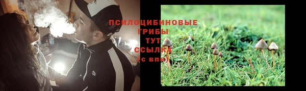 экстази Пересвет