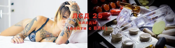 экстази Пересвет