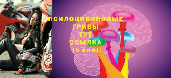 экстази Пересвет