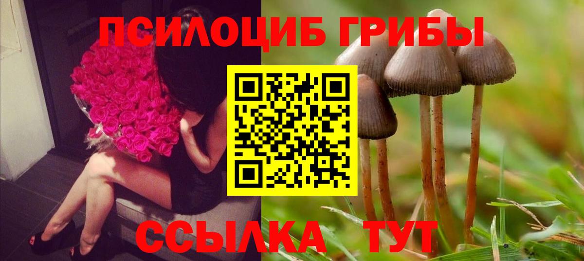 Галлюциногенные грибы GOLDEN TEACHER Дербент