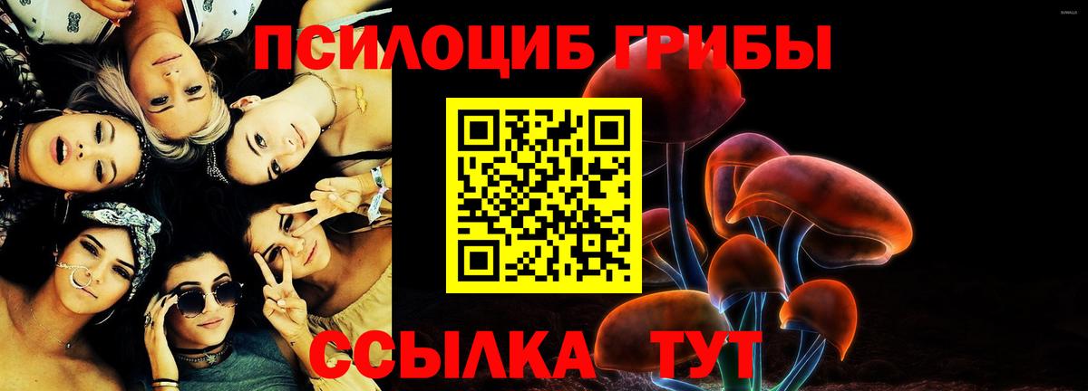 Галлюциногенные грибы Psilocybine cubensis  Вход с VPN  Галлюциногенные грибы мицелий  Дербент 