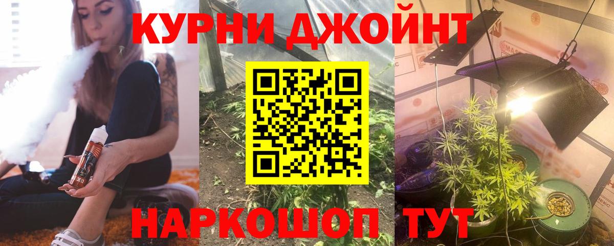 Марихуана гибрид Дербент